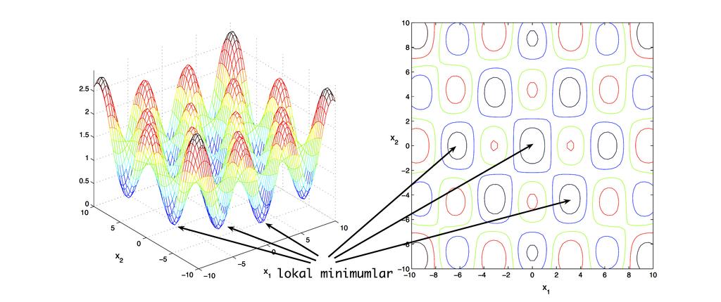 Lokal ve Global Optimizasyon İlker Birbil