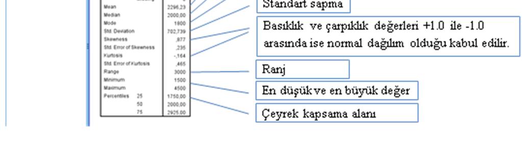 programında Analyze => Descriptive Statistics => Frequencies