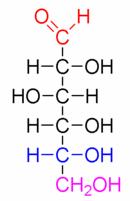 D-glucose bir aldoheksoz dur Aldehit grubu (kırmızı) Anomerik karbon (mavi): aldehit grubundan