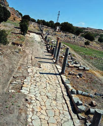 Res. 1 Kuzey Sütunlu Cadde, 2012 genel Fig. 1 North Colonnaded Street, general view in 2012 Res. 2 Kuzey Sütunlu Cadde, Doğu (2012 kazı sonrası) Fig.