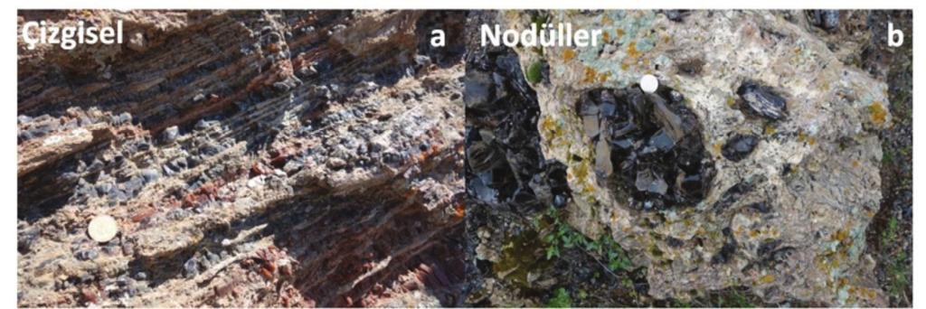 Örneğin MaydanGürgürbaba volkanik alanı (Van Gölü Havzası) içinde yapılan arazi çalışmaları sırasında masif ve büyük hacimli kayalar halinde obsidiyenler görülürken (Şekil 5) Nemrut Volkanı