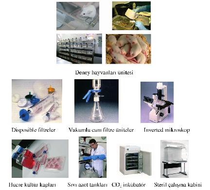 MODERN BİYOTEKNOLOJİ VE UYGULAMALARI / 7 Şekil 2. Hibridoma çalışmalarında gerekli olan alt yapı ve cihazlar 2.