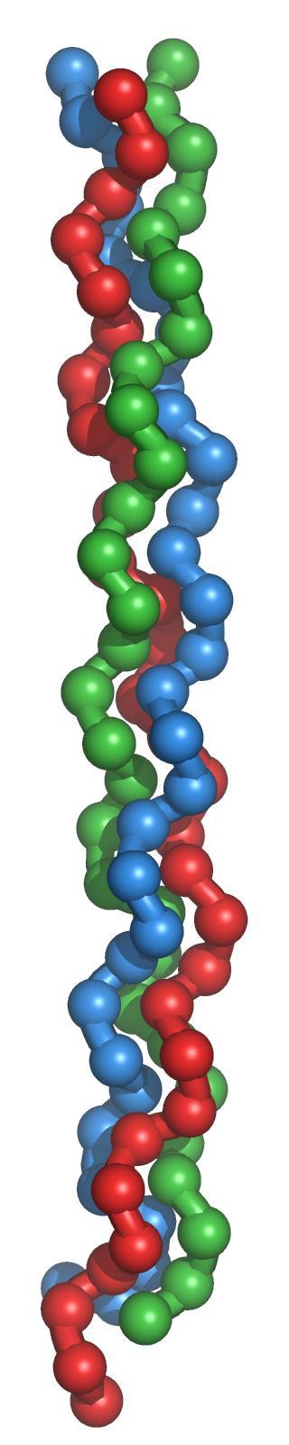 İşte bu hydroxyapatite kristalleri esnek özellikteki kollajen fibrillerinin * etrafını saracak şekilde dizilir ve kollajen yapısının sertleşmesine sebep olur.