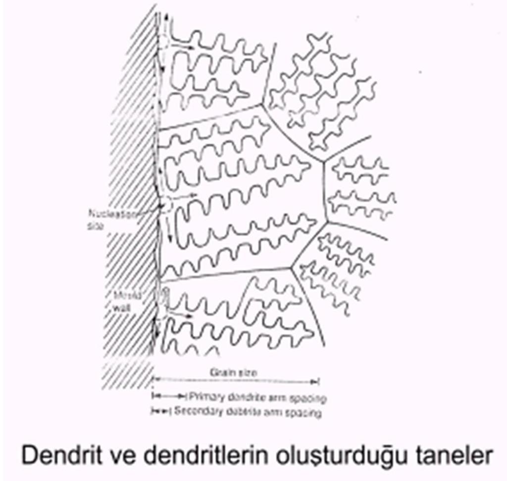 DENDRİT