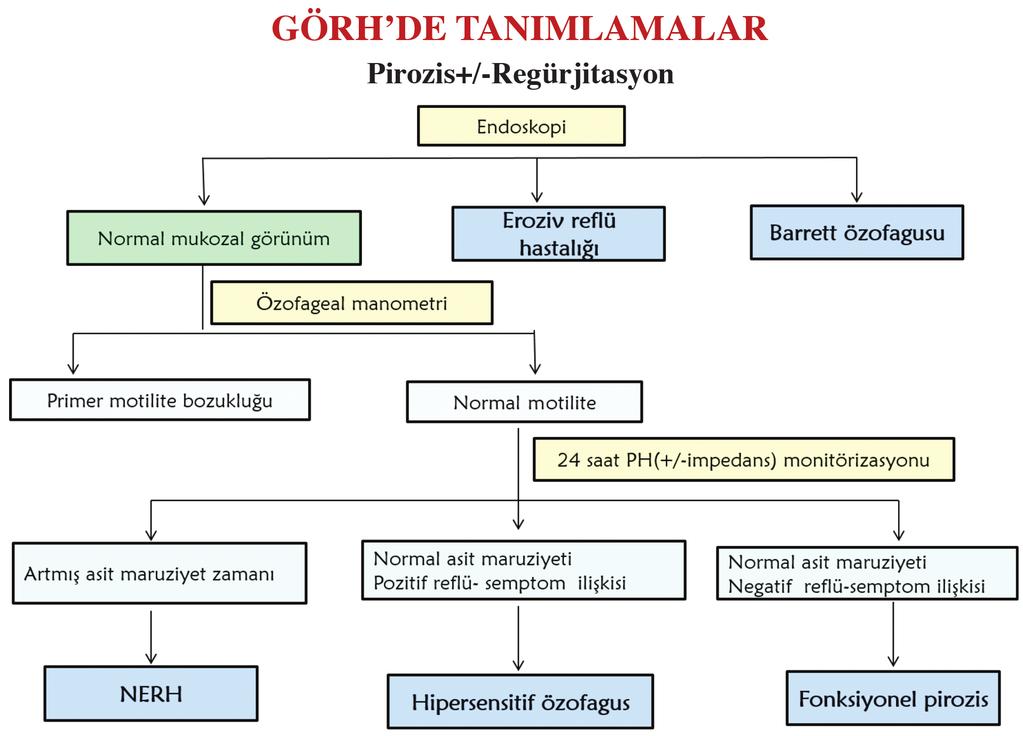 Şekil 1. GÖRH de tanımlamalar. NERH: Noneroziv reflü hastalığı. O nedenle olgulara aşırı fiziksel aktiviteden sakınması hafif-orta düzeyde fiziksel aktivite yapmaları salık verilmelidir.