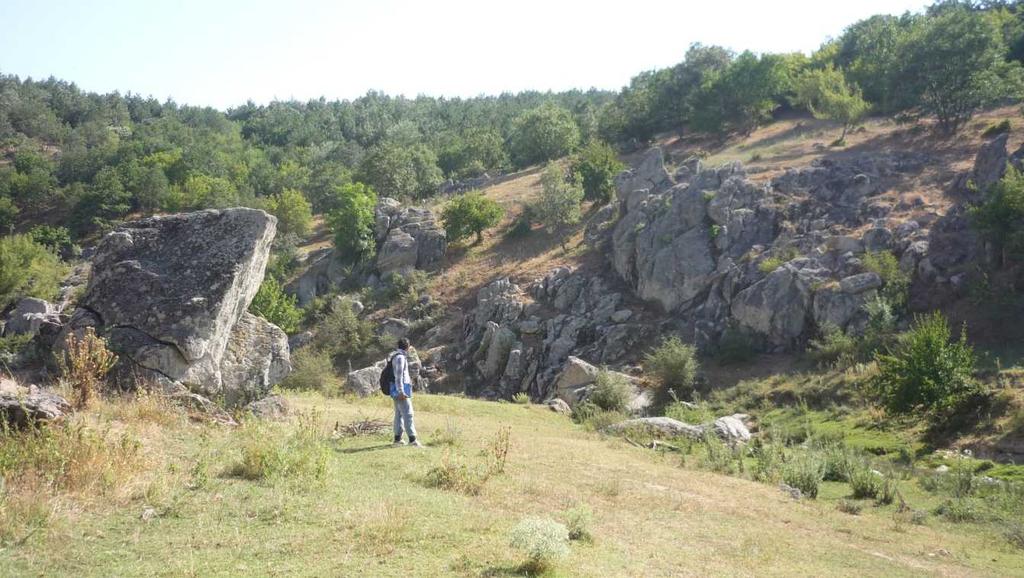 Üst Paleozoyik metagranitleri (Mangır Tepe güneyi). Şekil 2.19.