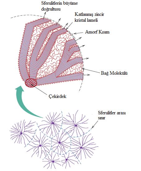 Şekil 2.13 Sferulit yapısının detaylı gösterimi [3] 2.