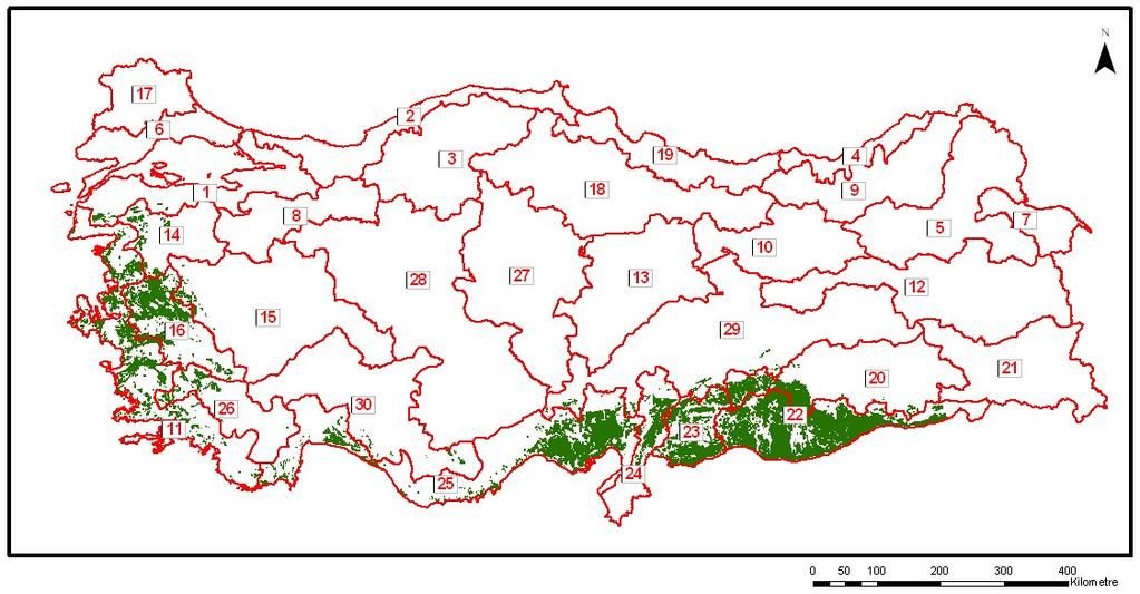 Model Öncesi ve Sonrası Üretim Nohut Planlama