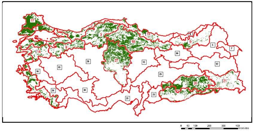 Sonrası Havza Sayısı Ekilen Alan (Ha)