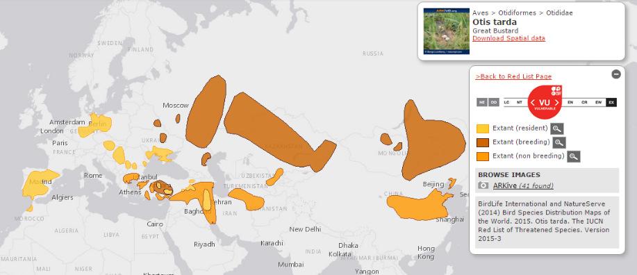 Şekil8-48 Büyük toy kuşu (Otis tarda) türünün dağılımı Sarı Kamışçın (Acrocephalus paludicola) (VU) Bu tür, habitatının tahrip olması sonucunda 10 yılda %40 a eşdeğer bir hızda 1990 ların sonlarına