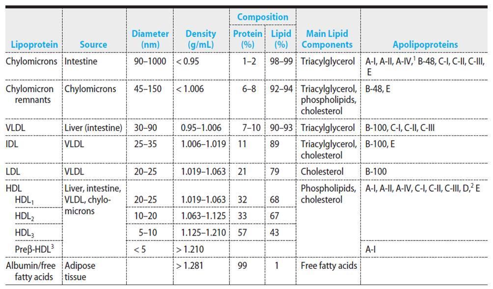 Lipoproteinler içerdikleri lipid miktarına göre çoktan aza doğru: Şilomikron VLDL IDL LDL HDL Şilomikronlar: Lipoproteinler içinde dansite olarak en küçük, boyut olarak en büyük ve en yaygın sınıfı