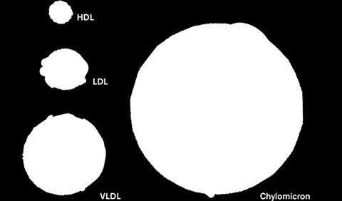 lipoproteinler (HDL) dir.