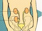 Renal Replasman Tedavi