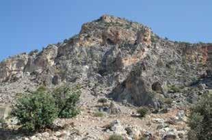 Kuzey Kıbrıs ın Temel Jeolojik Özellikleri Şekil 10: Karşıyaka-Kozanköy yolunda Kaynakköy Formasyonu yüzeylemeleri.