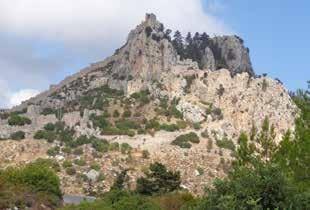 Kaynakköy (Sykhari) Formasyonu (Orta-Üst Triyas) Birim başlıca gri-siyah renkli kalın-çok kalın katmanlı, bol eklemli ve kırıklı dolomitlerden oluşur (Şekil 10).