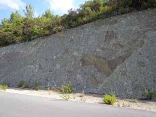 Şekil 19: Ardahan-Kantara yolu üzerinde Kantara yakınlarında Bartoniyen-Priyaboniyen yaşlı Kantara Formasyonuna ait moloz akması çökelleri.