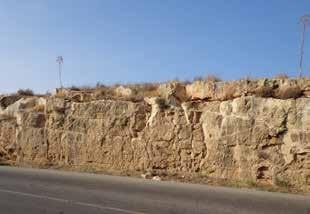 Kuzey Kıbrıs ın Temel Jeolojik Özellikleri kuzeyde uyumsuz, Dardere Fayı nın güneyinde ve Karpaz daki Kaleburnu köyünde uyumlu olarak örter.