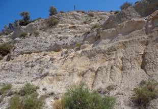 Figure 39: A small outcrop of the Esentepe Formation in the lower part is overlain by Quaternary paleosol. The upper part is composed of Quaternary sand dune deposits.