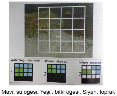 CBS / Raster Veri Modeli Her hücrenin sadece tek bir değer alabilmesi karışık hücre problemine yol açar.