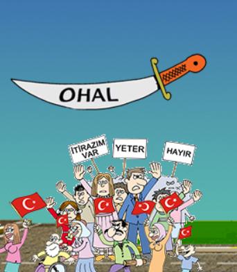 OHAL de Meclis 24 Kasım'da tutuklanan Mardin Belediyesi Eşbaşkanı Ahmet Türk tahliye edildi. Diyarbakır ın Bismil Belediyesi ne ilçe kaymakamı kayyum olarak atandı.
