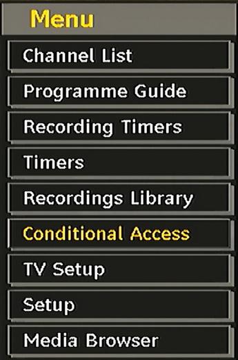 TV Setup You can use this item to display the TV functions. The digital TV Setup menu screen is accessed from the main menu.