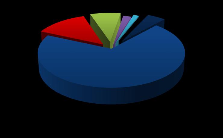 1.2. Kapalı Alanların Dağılımı Üniversitemiz kapalı alanları toplamı 214.381 m 2 dir. Toplam kapalı alanın %70 ini 150.