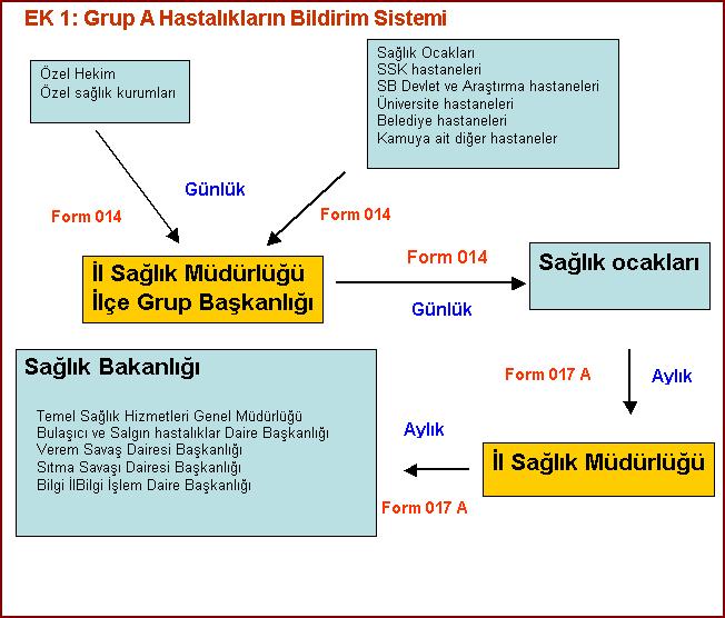 3. İlçe Grup Başkanlıkları, tanımlanan laboratuvarlardan Grup D Enfeksiyon Etkenleri Bildirim Fişlerini bağlı bulundukları sağlık ocağı bölgesine göre ayırımı yapılır.