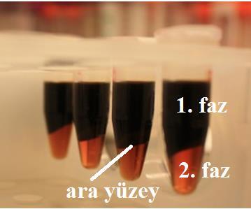 Faz Termodinamik açısından faz; Kapalı bir sistemin (çevresiyle herhangi bir enerji alış verişi yapmayan) homojen, belirli bir sıcaklık, basınç ve bileşime sahip, makroskobik olarak tek bir yapı