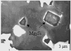 31 Resim 2.6. Si li Mg alaşımının mikroyapısı [33] 2.5.2. Magnezyum-alüminyum-toprak elementleri alaşımları 1930 larda RE nin Mg alaşımlarının özellikleri üzerinde yararlı etkileri olduğu keşfedilmiştir.