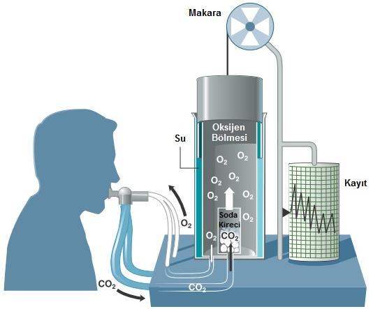 kullanılmaktadır. Ölçümü yapılacak birey oksijeni devamlı olarak spirometreden ya da daha önce oksijen doldurulmuş kaptan solumaktadır.