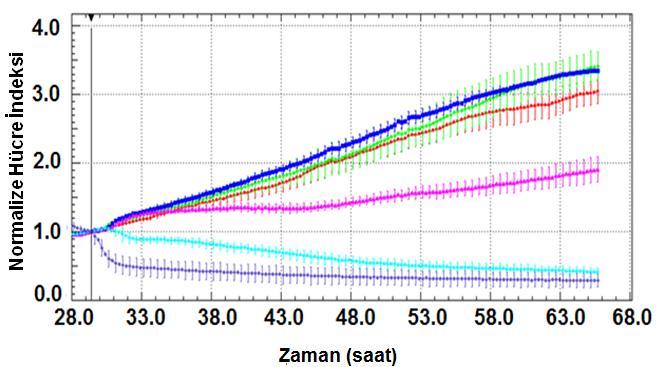 Grafik 2: Exp 65 in HeLa An/1 hücre dizilerinde konsantrasyon bağımlı sitotoksik etkileri (Kontrol [etoh+dmso (8:2)], 1, 3, 10, 30, 100 μm (EXP 65) (n=3). 4.