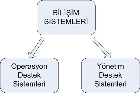 Bilişim Sistemlerinin Sınıflandırılması İş Organizasyonlarında BT yaptıkları işleve Ve rollerine göre iki gruba ayrılır; 1.