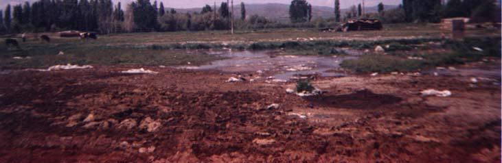 Ticari işletmelerde hayvanlardan elde edilen atıkların miktarı da oldukça fazla olmaktadır.