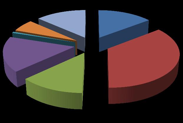 2011 YILI FİİLİ GELİRİ FAİZ GELİRLERİ 6% MİSİL ZAMLARI 1% DİĞER 13% YILLIK AİDAT