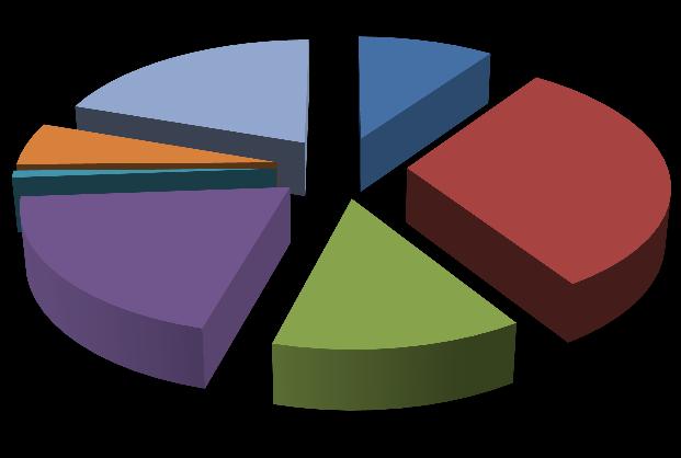 2013 YILI FİİLİ GELİRİ FAİZ GELİRLERİ 5% MİSİL ZAMLARI 1%