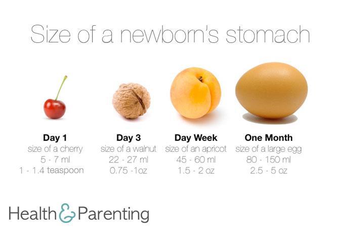 Bebeklerin mide hacmi 3.ay: 100-150 ml 6.