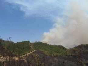 Yangının ikinci gününde, som ormanda etkili olan yangın rüzgarın da etkisiyle Akbaş vadisine taşınan yanıcı materyaller ile Karataş, Bucakköy, Sarıabalı ve Deniztepesi köylerinin bulunduğu alanda