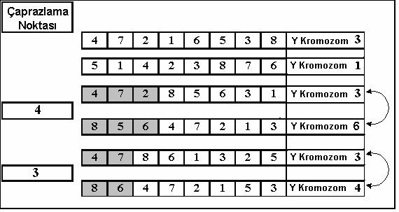 65 Şekil 6.4.Çarprazlama işlemi Şekil 6.4 de gösterildiği gibi 3. noktadan sonra gen takasları gerçekleştirilmiştir.