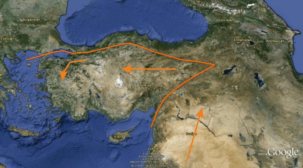 yapı oluşmuştur. Şekil-4. Arabistan Plakası'nın hareketi. Şekil-5.