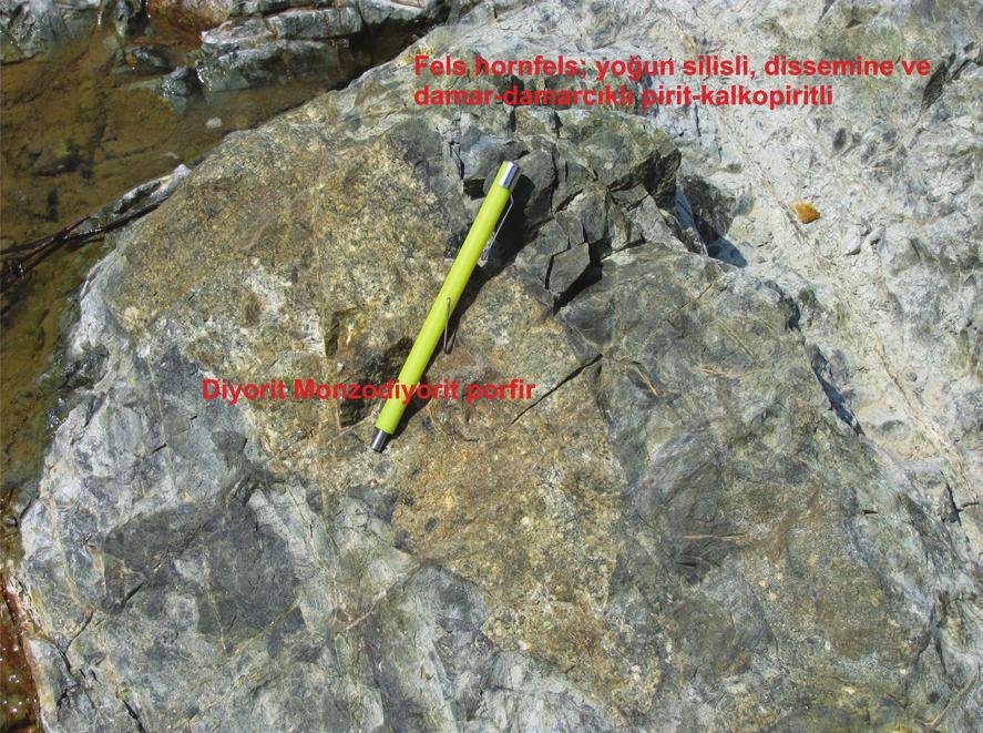 Gökçeada nın (Çanakkale) Jeolojisi kloritleşmiştir. Daha az miktarda izlenen amfiboller ise karbonat, biyotit, klorit ve opak minerale dönüşüm göstermektedir.