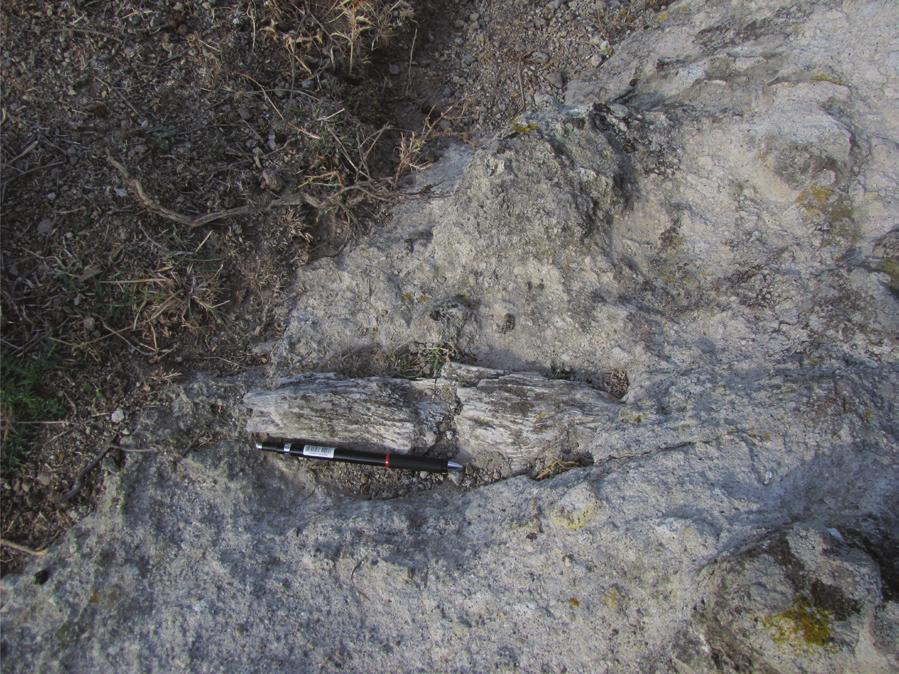 Gökçeada nın (Çanakkale) Jeolojisi Kesmekaya volkanitleri; dom patlamalarına bağlı olarak oluşan bloklu kül akması, moloz akıntısı ve lahar türü piroklastik akma oluşuklarıyla Gökçeada ignimbiritinin