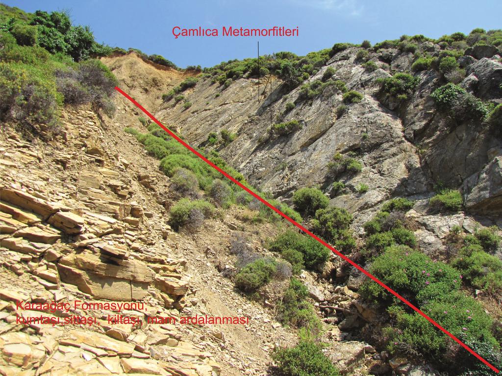 MTA Dergisi (2015) 150: 1-17 Şekil 3- Çamlıca metamorfitleri