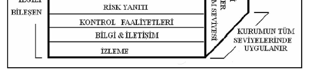 Dikey eksende bulunan her bir bileşendeki faaliyetler, amaçlar kategorisi dikkate alınarak ve bununla uyumlu şekilde gerçekleştirilmektedir.