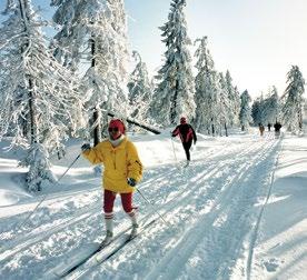 Harz ın kuzeyinde Hildesheim, Hannover, Braunschweig ve Wolfsburg gibi büyük şehir metropolleri yer alır.