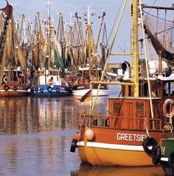 Aşağı Saksonya Elbe Taşkın Vadisi nin biyosfer rezervi, bozulmamış geniş bataklık alanların ve ırmak kıyısı ormanların bulunduğu bir çayır manzarası ile kendini gösterir.