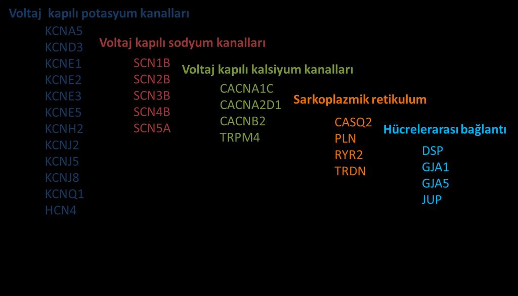 ATRİAL FİBRİLASYON Atriyumların titreşimi olarak tanımlanmaktadır. Çok sayıda elektriksel aktiviteye bağlı olarak düzensiz ve hızlı uyarılar meydana gelir.