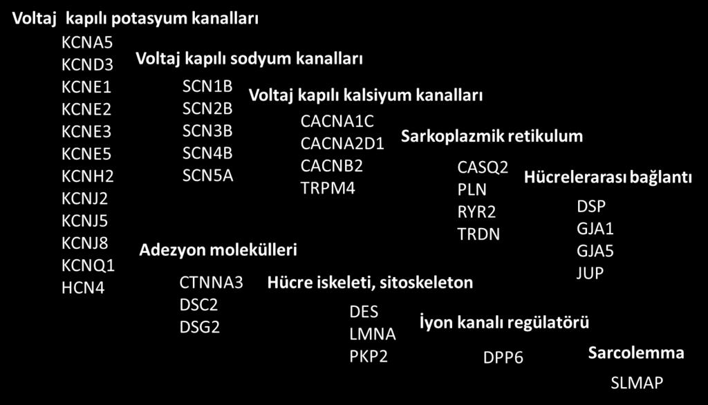 ARİTMOJENİK SAĞ VENTRİKÜL DİSPLAZİSİ Sağ ventrikül kasında oluşan yağ ve fibröz dokuya bağlı olarak meydana gelen yapı bozuklukları ve ventrikül aritmileri ile karakterizedir.