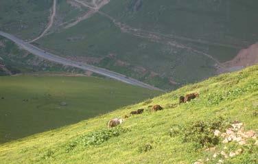 kilometrede batı yönünde kalan yamaçtaki Duygulu Şelalesi yöreye ayrı bir güzellik katıyor. Yaklaşık 23 km süren parkur boyunca derenin yatağı çok taşlı.