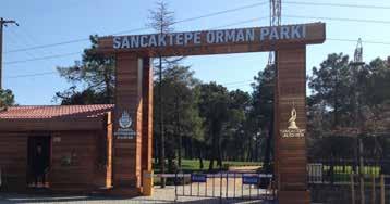 238 Park ve Bahçeler MÜDÜRLÜĞÜ SANCAKTEPE ORMAN PARKI Büyükşehir Belediyesi ile