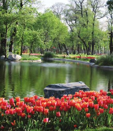 adet) Kağıthane Şehit Hüseyin Çatalkaş Semt Parkı Mehmet